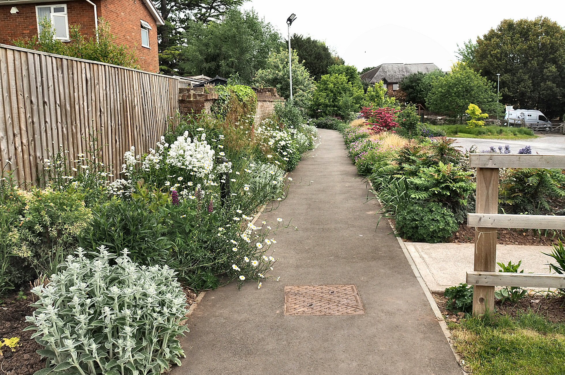 Garden scene — May 2023