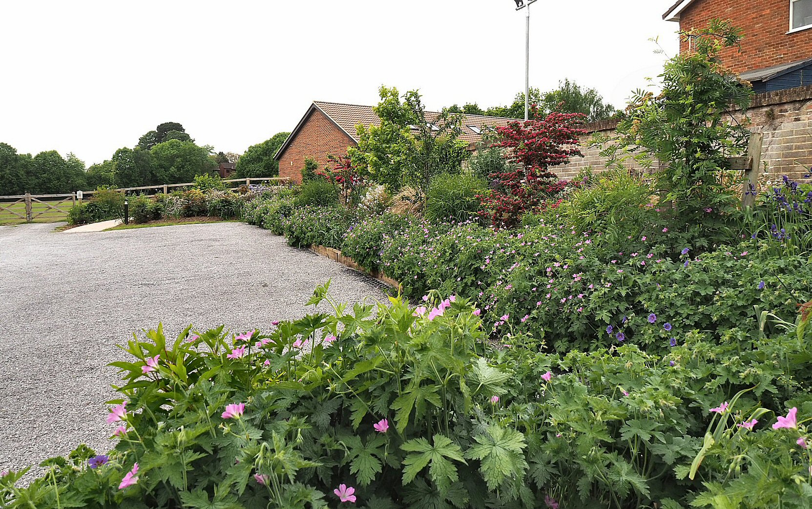 Garden scene — May 2023