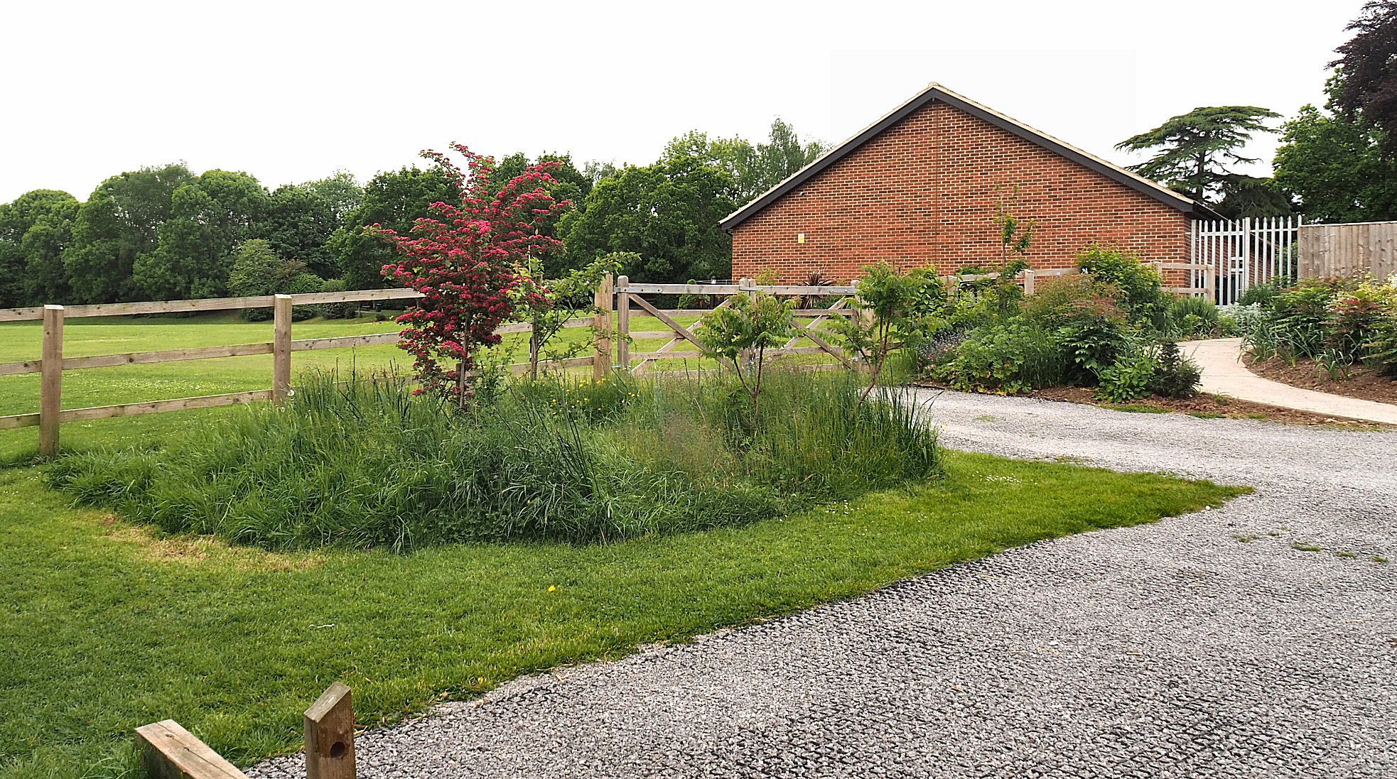 Garden scene — May 2023