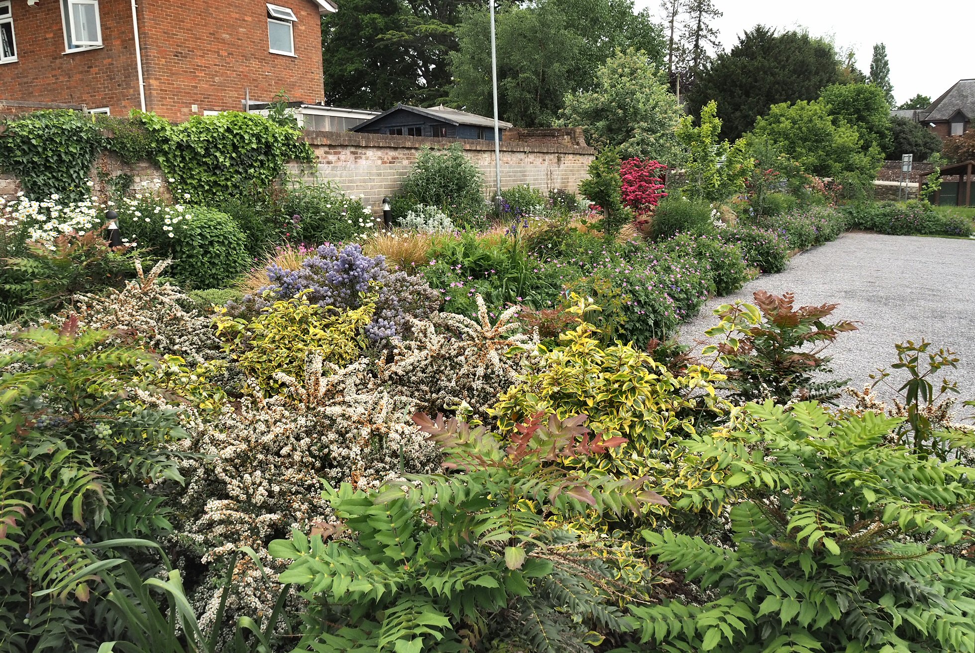 Garden scene — May 2023