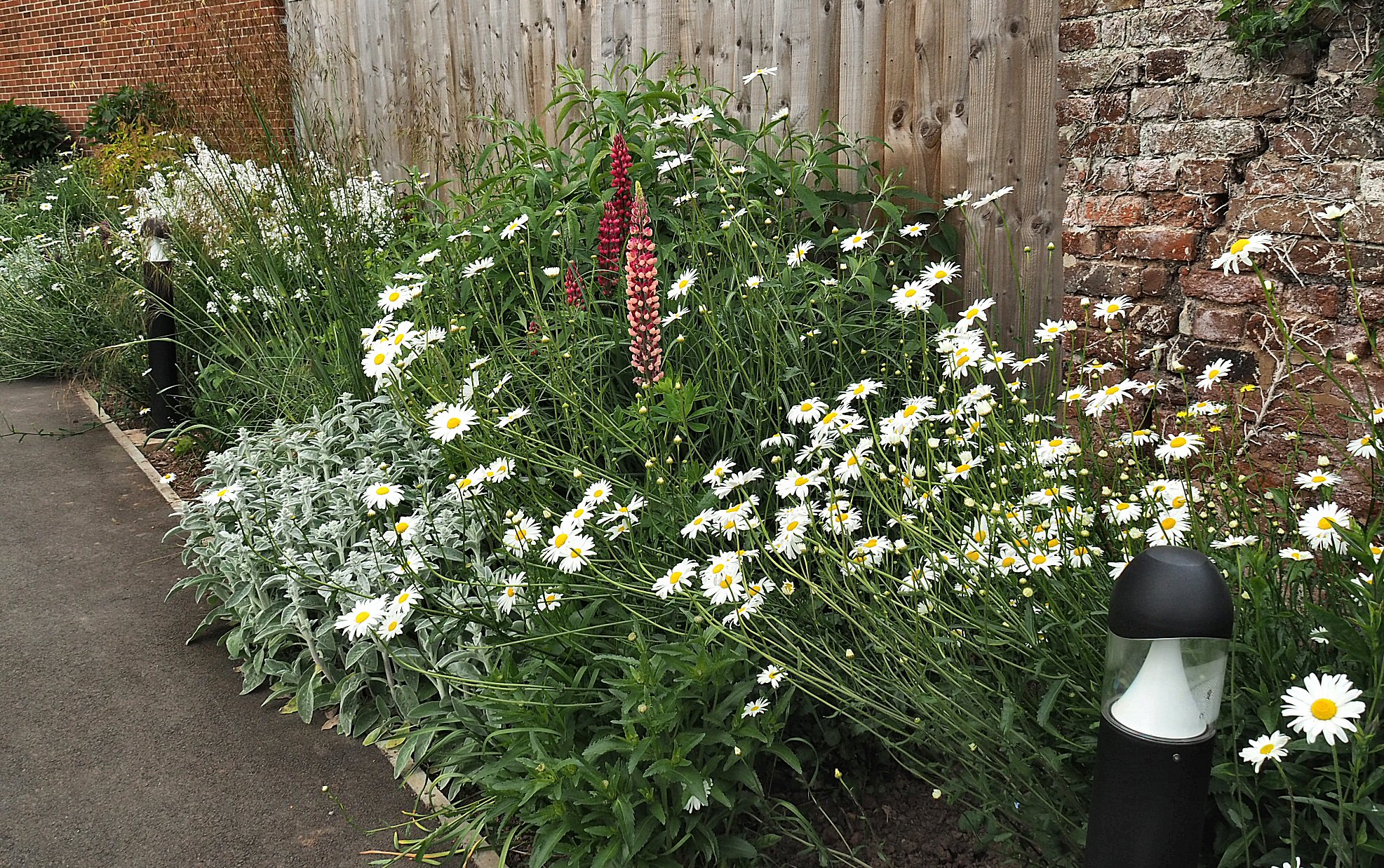 Garden scene — May 2023